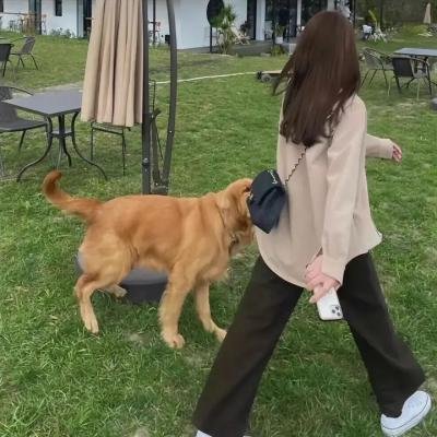 新自杀小队